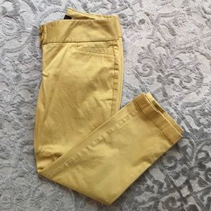 The Limited mustard crop pants